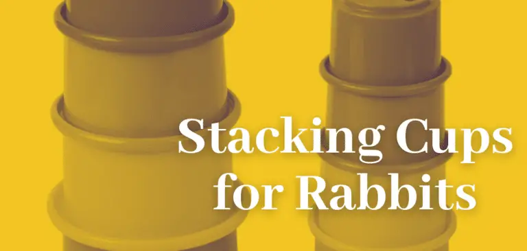 Stack Up Cup Toys For Rabbits