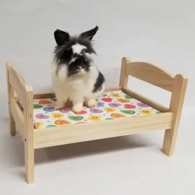 Rabbit Beds