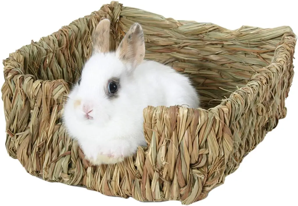 Rabbit Beds - Hay Bed