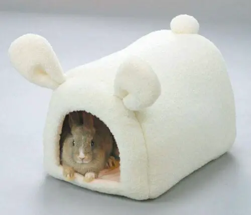 Rabbit Beds- Cute Bed