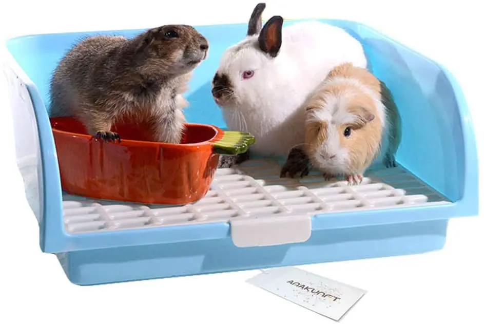Best Rabbit Litter Box