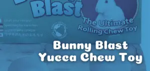 Bunny Blast Yucca Chew Toy Review