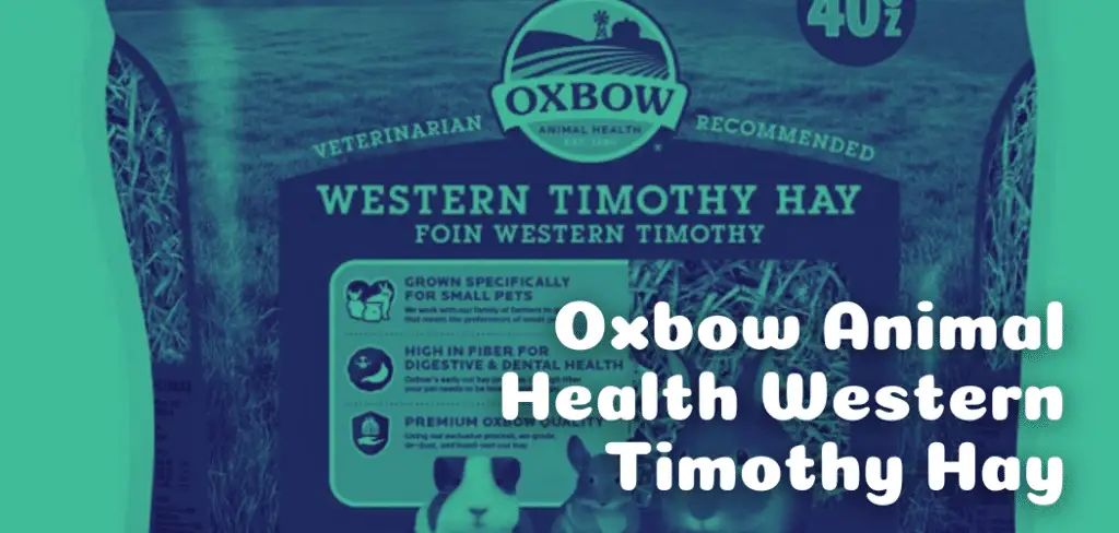 Oxbow Animal Health Western Timothy Hay