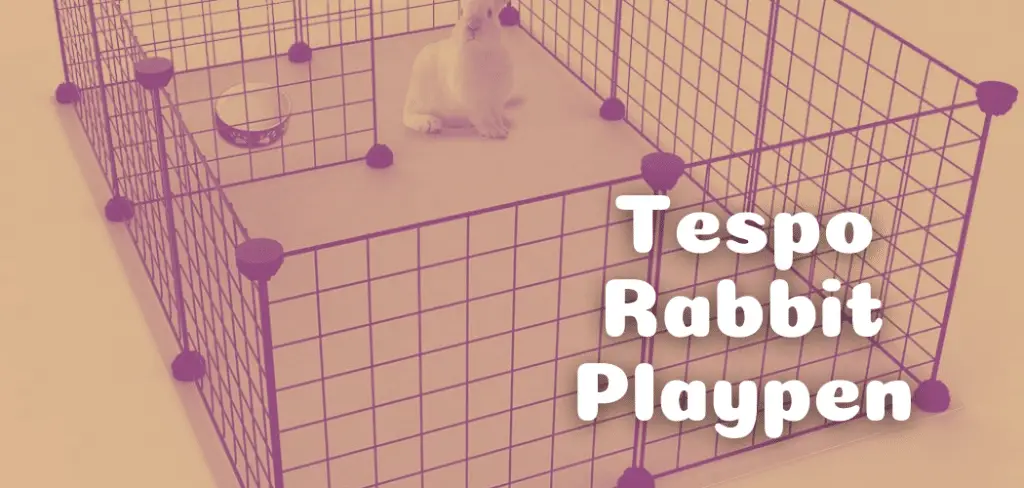 Tespo Rabbit Playpen