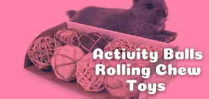 Activity Balls Rolling Chew Toys for Rabbits