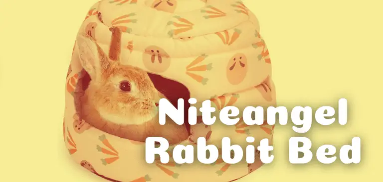 Niteangel Rabbit Bed Product Review 2021