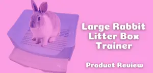 Large Rabbit Litter Box Trainer