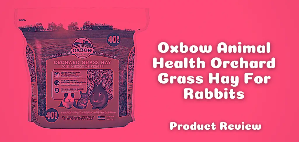 Oxbow Animal Health Orchard Grass Hay For Rabbits