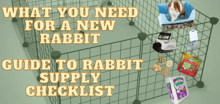 What You Need for a New Rabbit Guide to Rabbit Supply Checklist