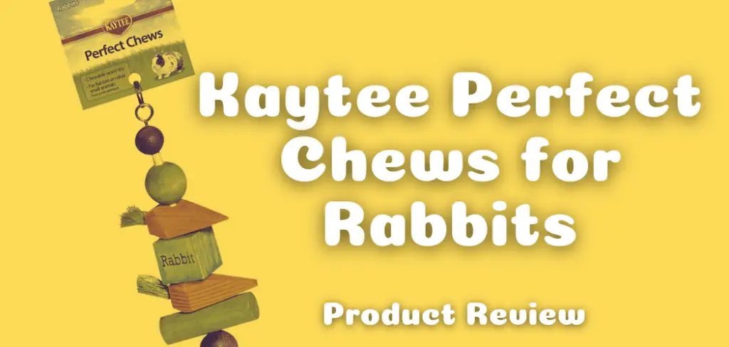 Kaytee Perfect Chews for Rabbits