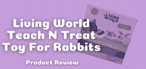 Living World Teach N Treat Toy For Rabbits