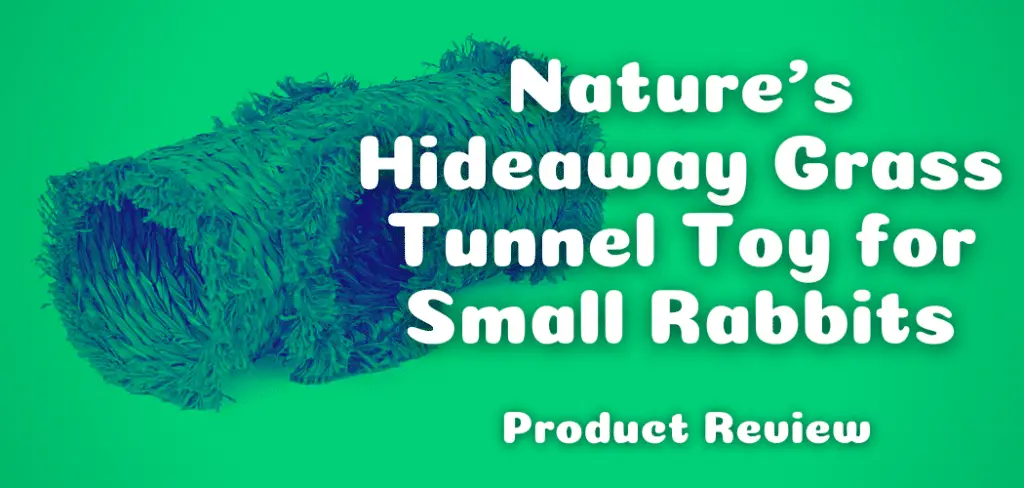 Natures Hideaway Grass Tunnel Toy for Small Rabbits