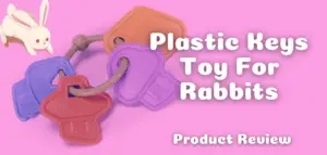 Plastic Keys Toy For Rabbits
