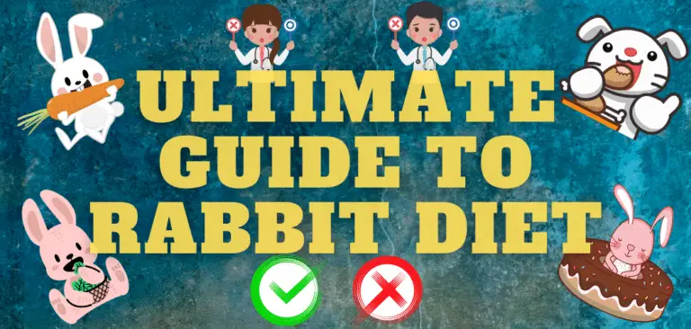 Ultimate Guide to Rabbit Diet