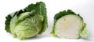 Cabbage for your rabbit