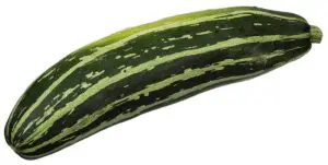 Zucchini is safe for rabbits