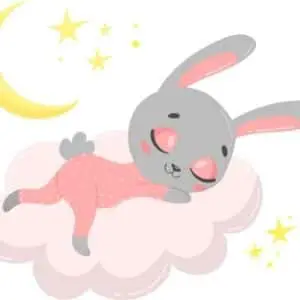 How much do rabbits sleep 4