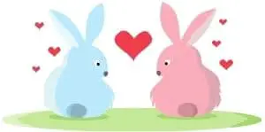 Rabbit Love - Bestrabbitproducts.com