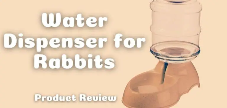 Water Dispenser for Rabbits