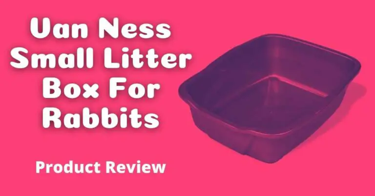 Van Ness Small Litter Box For Rabbits