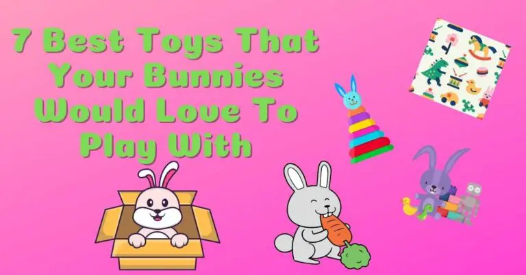 7 Best Toys That Your Bunnies Would Love To Play With
