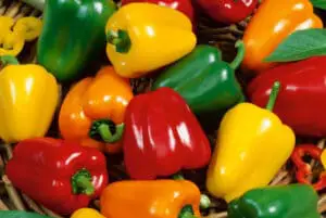 Bell Peppers for rabbits