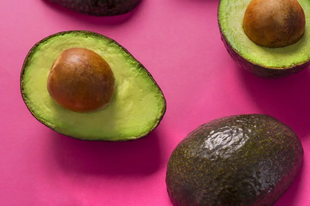 Avocados (Avoid Giving These Foods To Your Rabbits At All Costs)