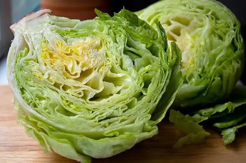 Avoid Giving These Foods To Your Rabbits - Iceberg Lettuce