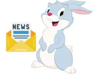 Rabbit Newsletter