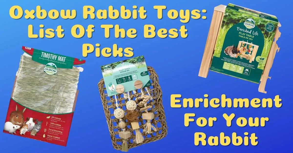 Oxbow Rabbit Toys List Of The Best Picks