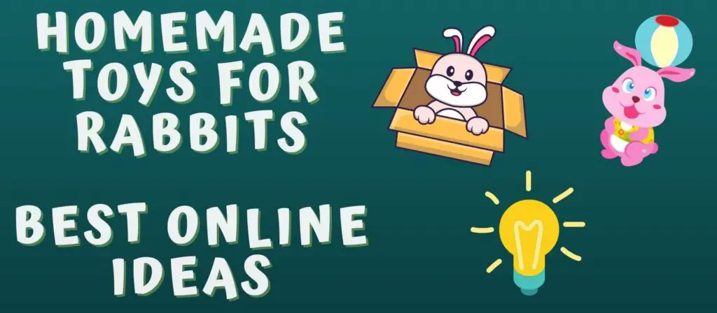 Homemade Toys For Rabbits - Best Online Ideas