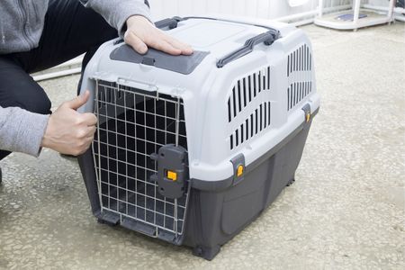 Tips to Choose the Best Carrier for Your Rabbit​